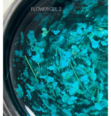 Гель с сухоцветами SAGA Flower Gel №2 бирюзовый, 5 г