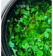 Гель с сухоцветами SAGA Flower Gel №6 салатовый, 5г