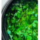 Gel with dried flowers SAGA Flower Gel No. 6 light green, 5g