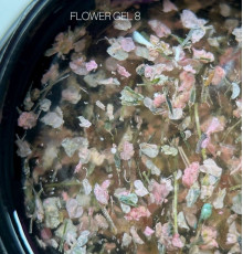 Гель с сухоцветами SAGA Flower Gel №8 нежно-розовый, 5 г