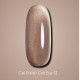 Gel polish DARK Cat No. 12 cat`s eye, 6 ml