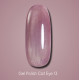 Gel polish DARK Cat No. 13 cat`s eye, 6 ml