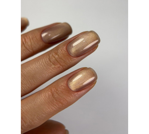 Gel polish DARK Cat No. 14 cat`s eye, 6 ml