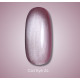 Gel polish DARK Cat No. 24 cat`s eye, 10 ml