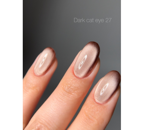 Gel polish DARK Cat No. 27 cat`s eye, 10 ml
