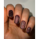 Gel polish DARK Night Cat No. 10 cat`s eye, 6 ml