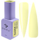 Гель-лак для нігтів DNKA Color №070 12 мл