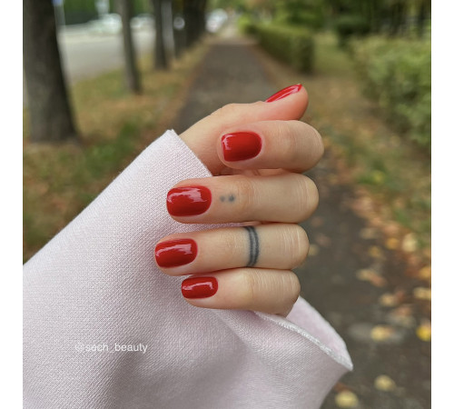 Гель-лак для нігтів GaMa Pantone №061 Root Beer, вишневий, 10 мл
