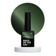 Гель-лак для нігтів NAILSOFTHEDAY Korean cat eye №17, котяче око, 10 мл