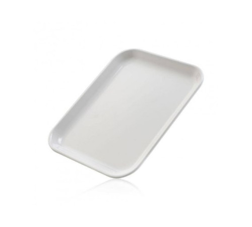 Лоток для інструментів BAEHR 15*19*1,7 см