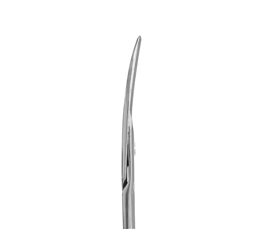 Nail scissors Staleks CLASSIC 62 TYPE 2 24 mm