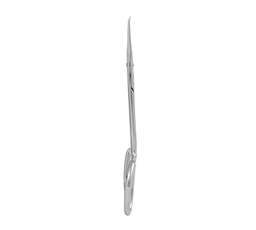 Professional scissors Staleks EXCLUSIVE 21 TYPE 1 magnolia