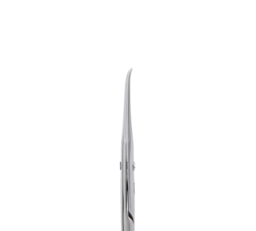 Professional scissors Staleks EXCLUSIVE 21 TYPE 1 magnolia