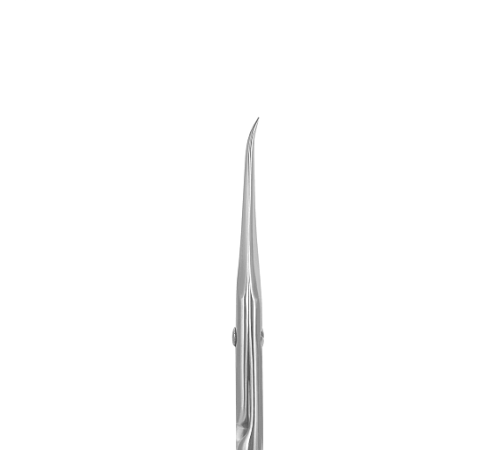 Professional scissors Staleks Exclusive 10 type 1, 21 mm