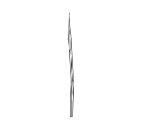 Professional cuticle scissors Staleks EXCLUSIVE 21 TYPE 2 magnolia