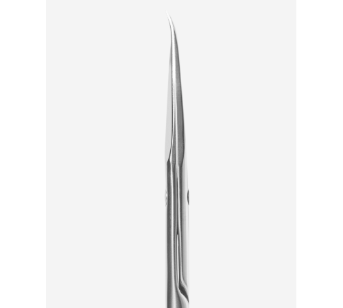 Professional cuticle scissors Staleks EXPERT 51 TYPE 3 with a hook