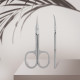 Professional cuticle scissors Staleks SMART 22 TYPE 1