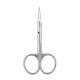 Professional nail scissors Staleks CLASSIC 31 TYPE 1