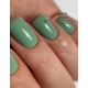 Tint base HEYLOVE Tint base BASIL dusted green, 15 ml