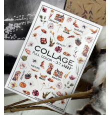 Slider design Collage 37 autumn, flowers, twigs
