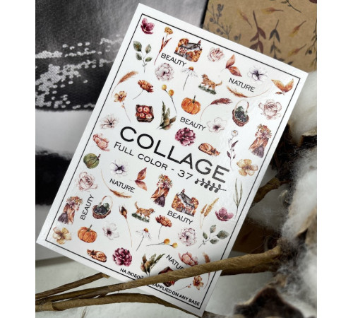 Slider design Collage 37 autumn, flowers, twigs