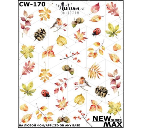 Slider design CW 170