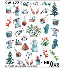 Slider design CW 177 winter