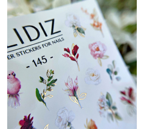 Slider design SLIDIZ 145