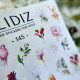 Slider design SLIDIZ 145
