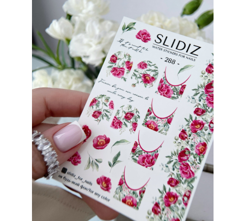 Slider design SLIDIZ 288