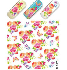 Slider design for nails N 587