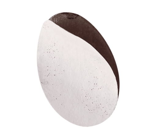 Replacement files for STALEKS PRO XS pedicure disc White 80 grit, 50 pcs