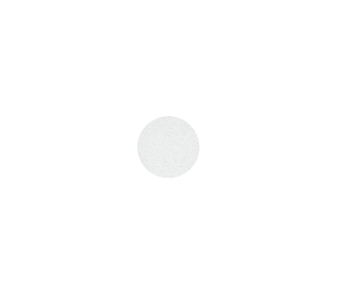 Replacement files on a soft base for the Staleks XS pedicure disc White 100 grit, 50 pcs