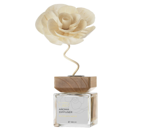 HEYLOVE Aroma Diffuser, Aroma Diffuser GOLD, 100 ml