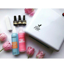 OXXI starter kit with UV lamp